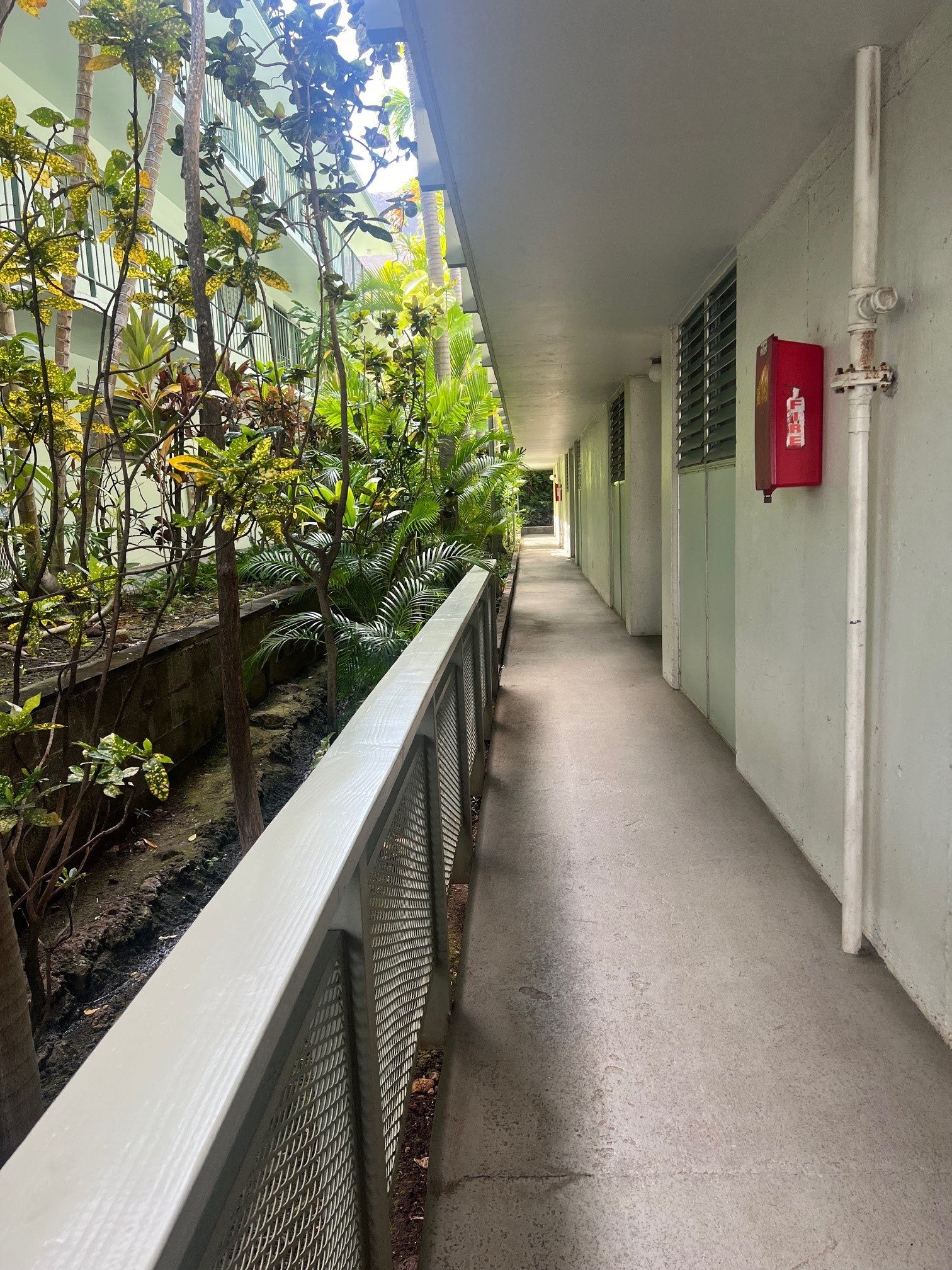 a corridor in a building with plants and a guard rail